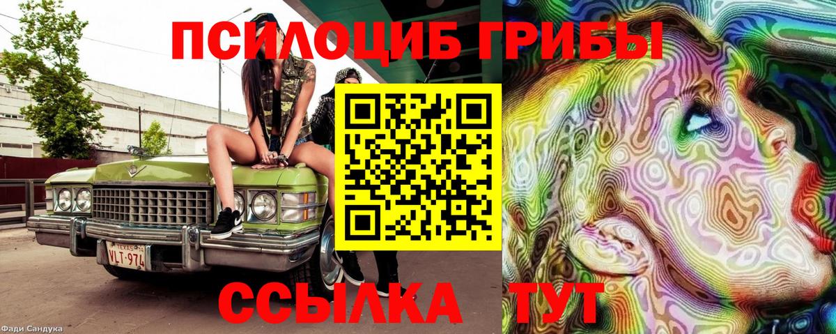 Галлюциногенные грибы Psilocybe Нижнекамск